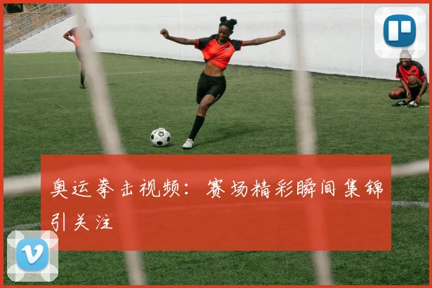 奥运拳击视频：赛场精彩瞬间集锦引关注