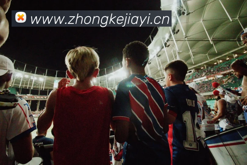 压球首页平台生态图