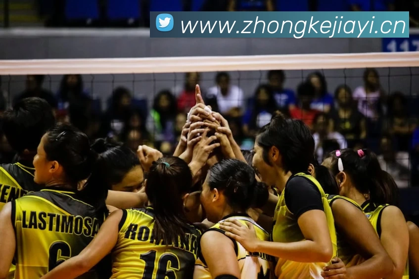 压球首页全站App